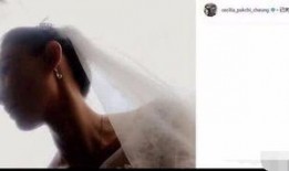 张柏芝爆料孙东海视频在线观看,真相曝光引热议