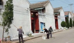 平望镇南杨村新闻爆料,揭秘乡村振兴新亮点